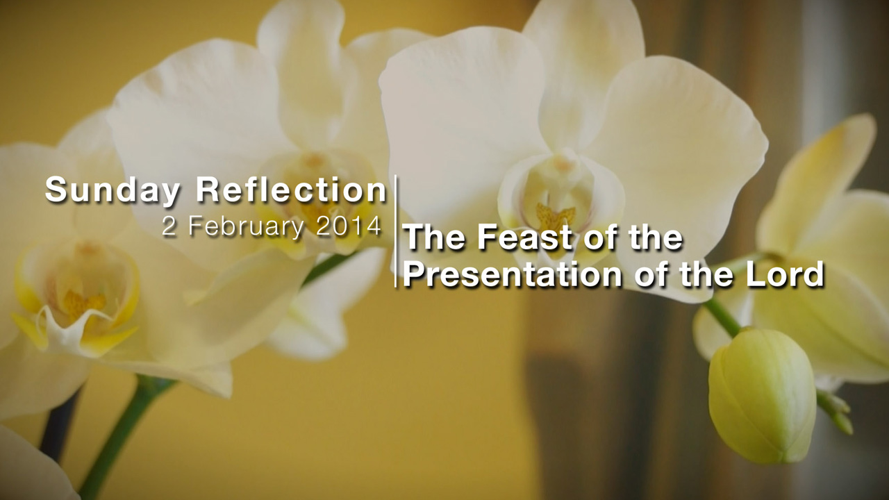 Feast of the Presentation of the Lord – Reflection