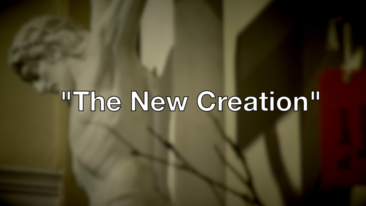 The New Creation – Reflection for Palm Sunday