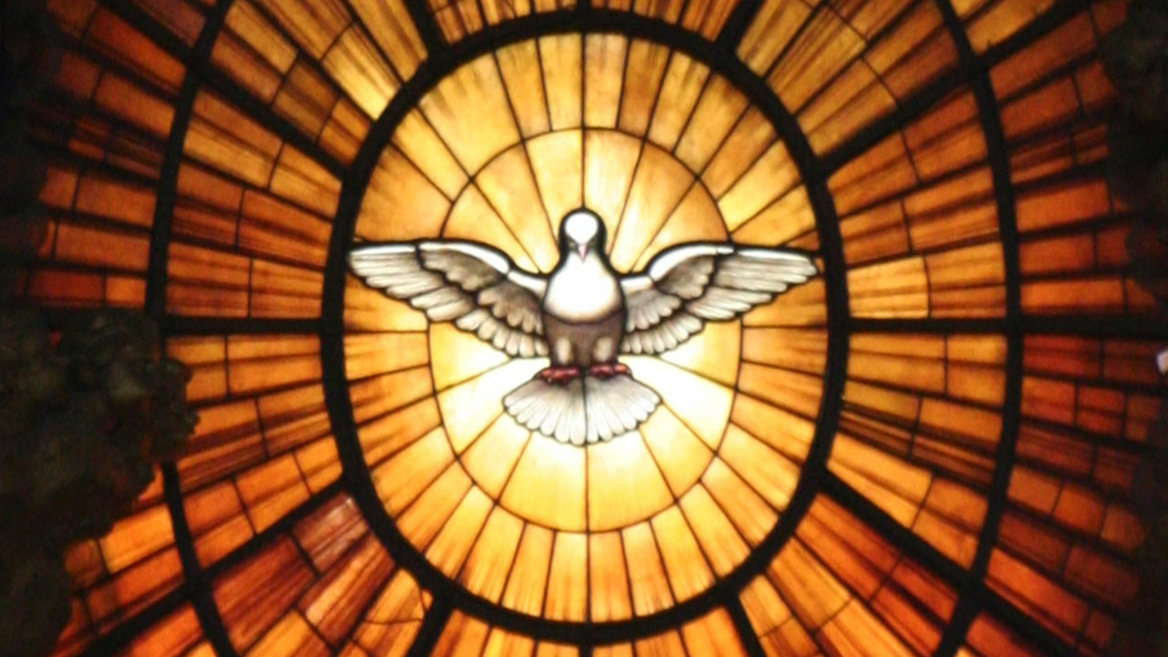 Pentecost Reflection – Fr Martin McCormack