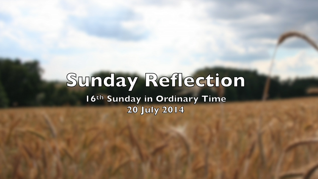 Reflection for 16th Sunday in Ordinary Time