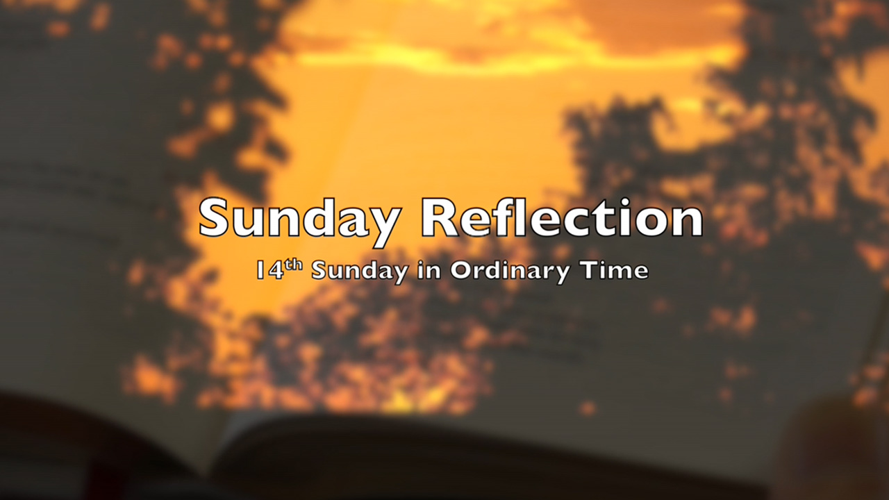 Reflection for 14th Sunday in Ordinary Time