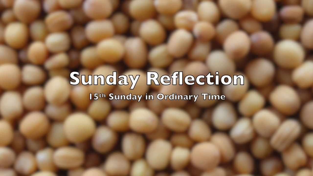 Reflection for 15th Sunday in Ordinary Time