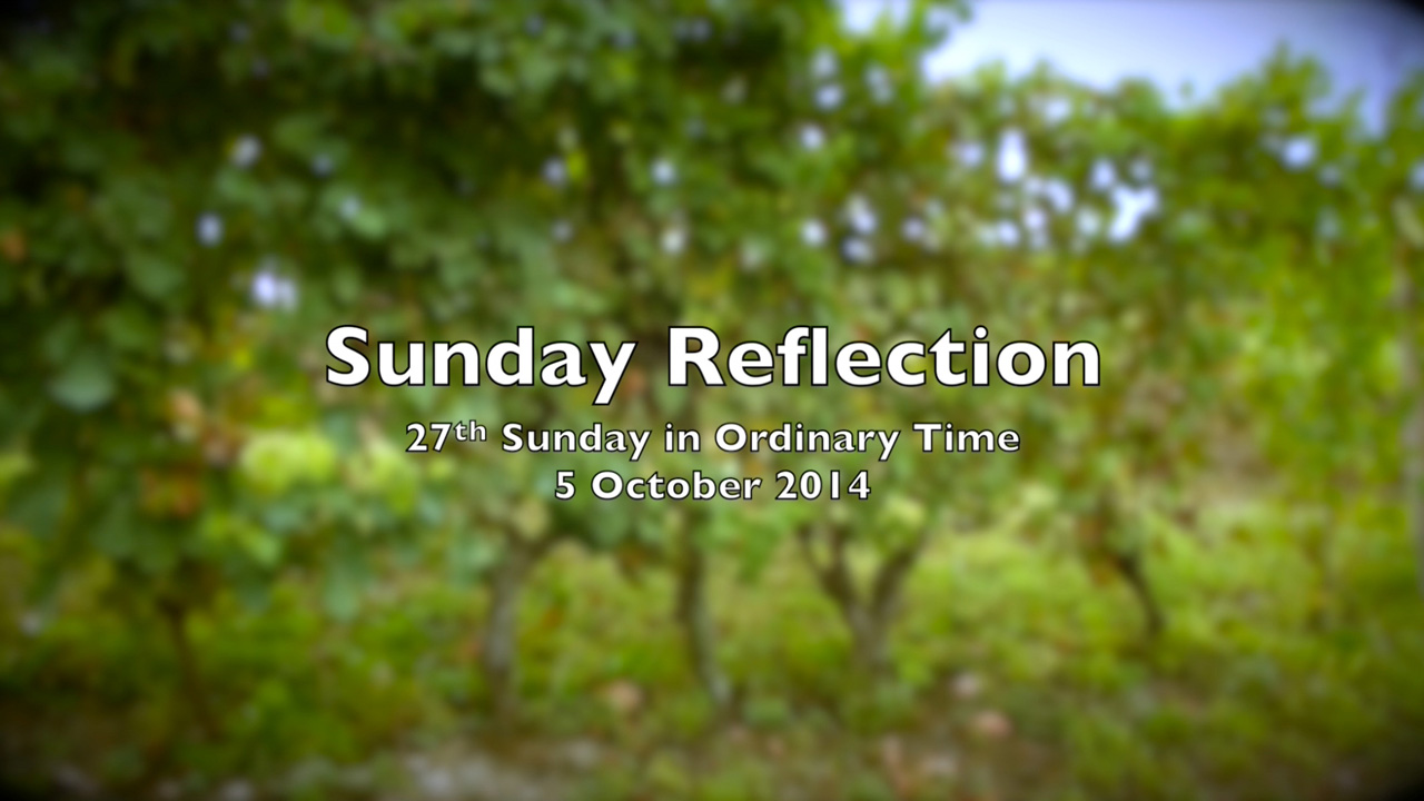 Reflection for 27th Sunday in Ordinary Time